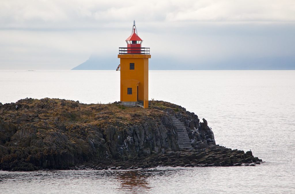 Videy Island – Scenic Nature and Wildlife near Reykjavik