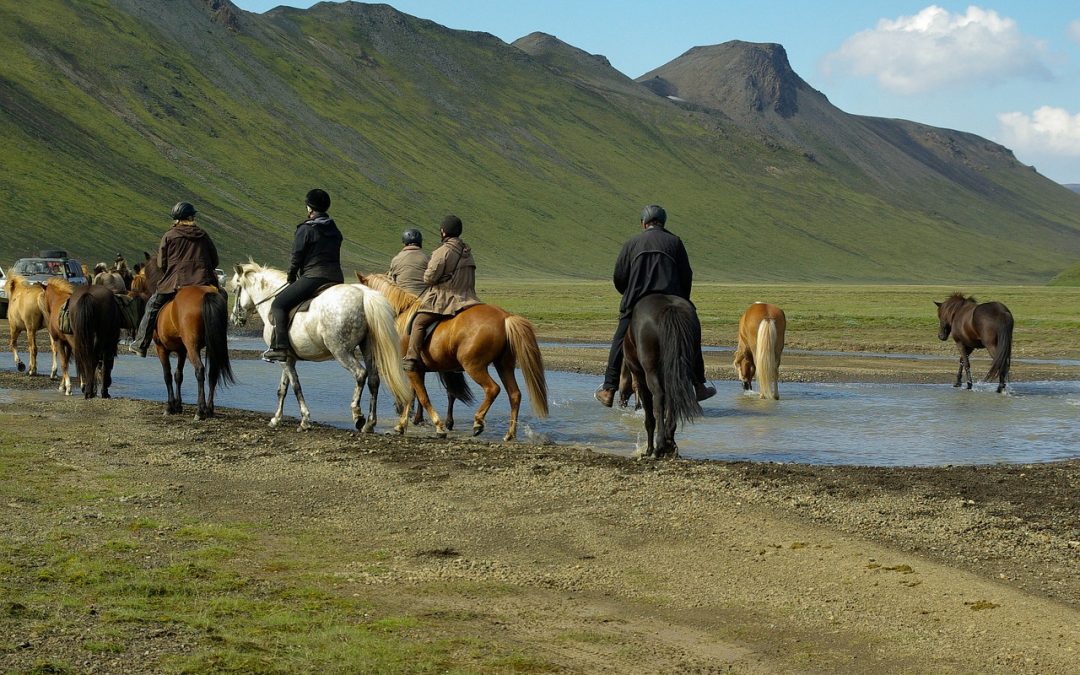 Hiking Trail in Northern Iceland – Scenic Adventure