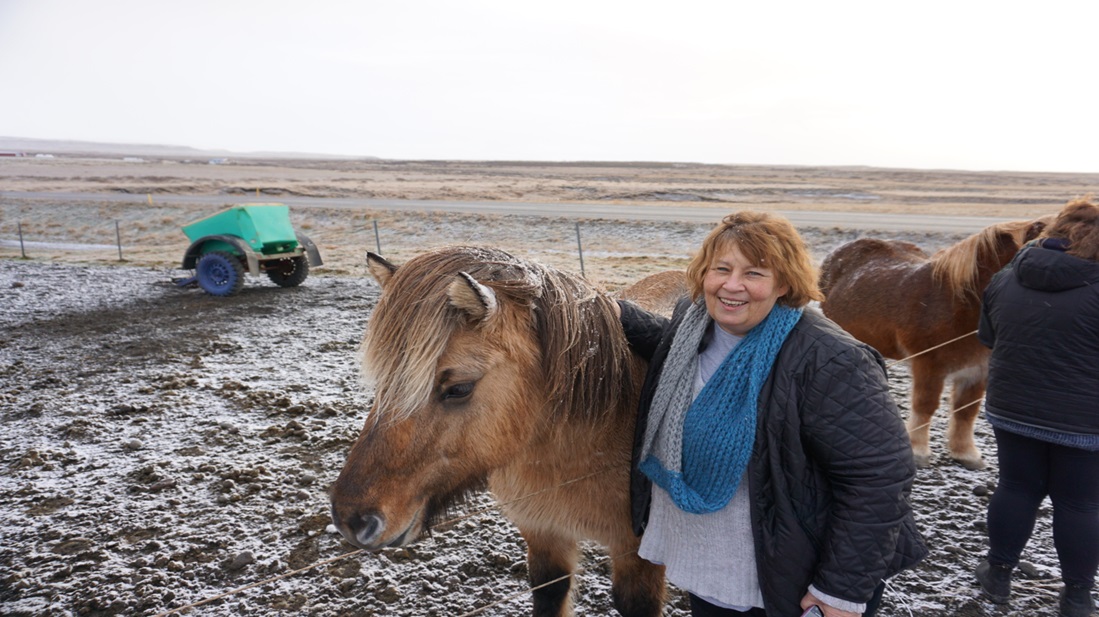 Private Golden Circle tour in Iceland with Whale’s Fjord Road views Product-1750315418-0.jpg